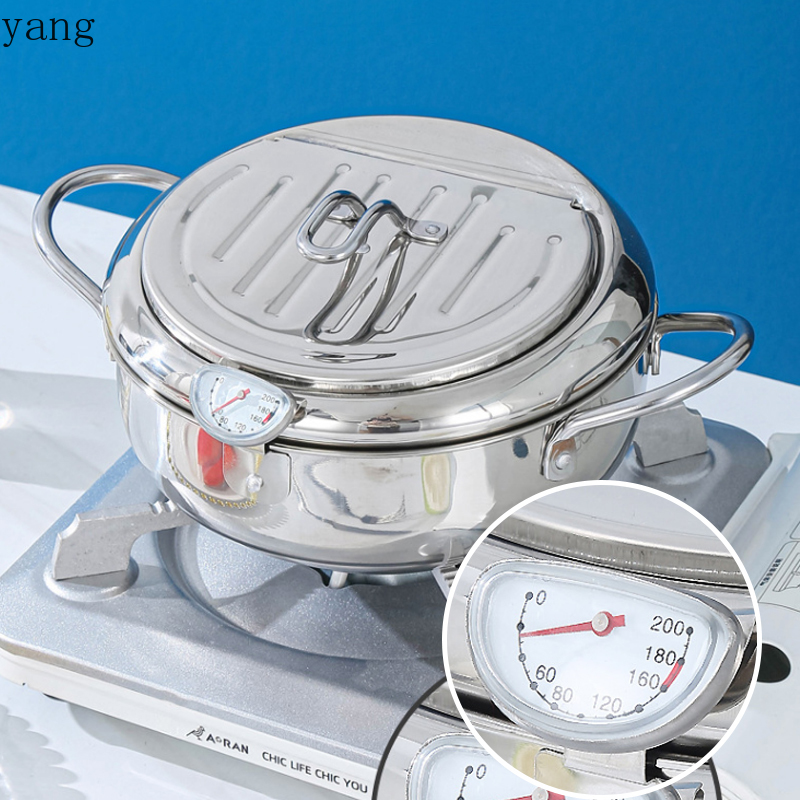 Pentola per frittura profonda  - Deep Fryer Stainless recensione e prezzo