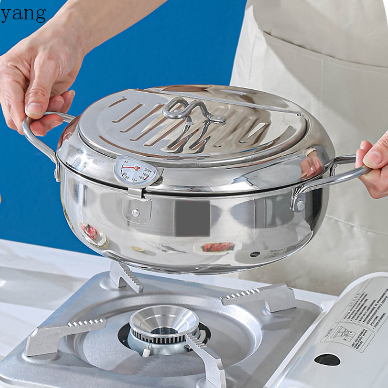 Pentola per frittura profonda  - Deep Fryer Stainless recensione e prezzo